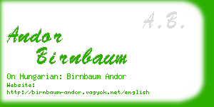 andor birnbaum business card